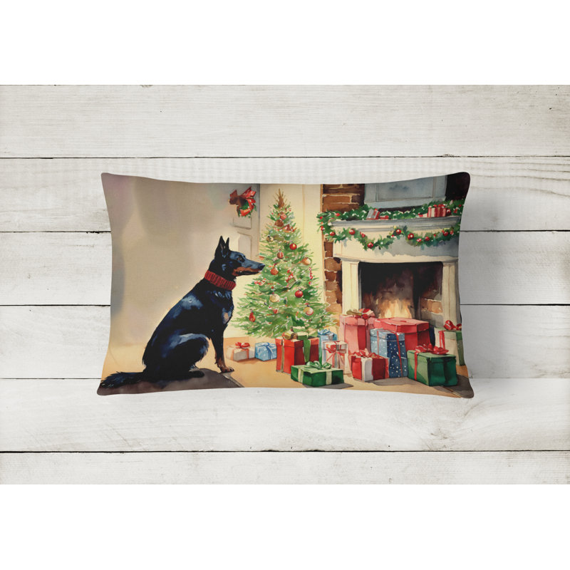 Other/No Pattern Outdoor Throw Pillow