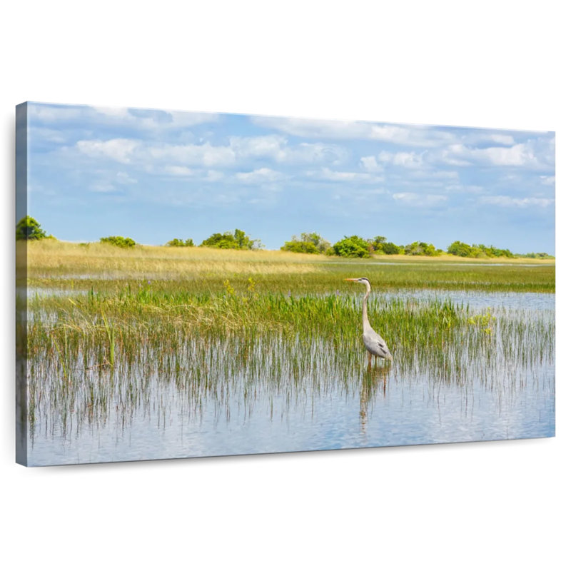 Alvord dans le parc national des Everglades, H 34 po x l 51 po