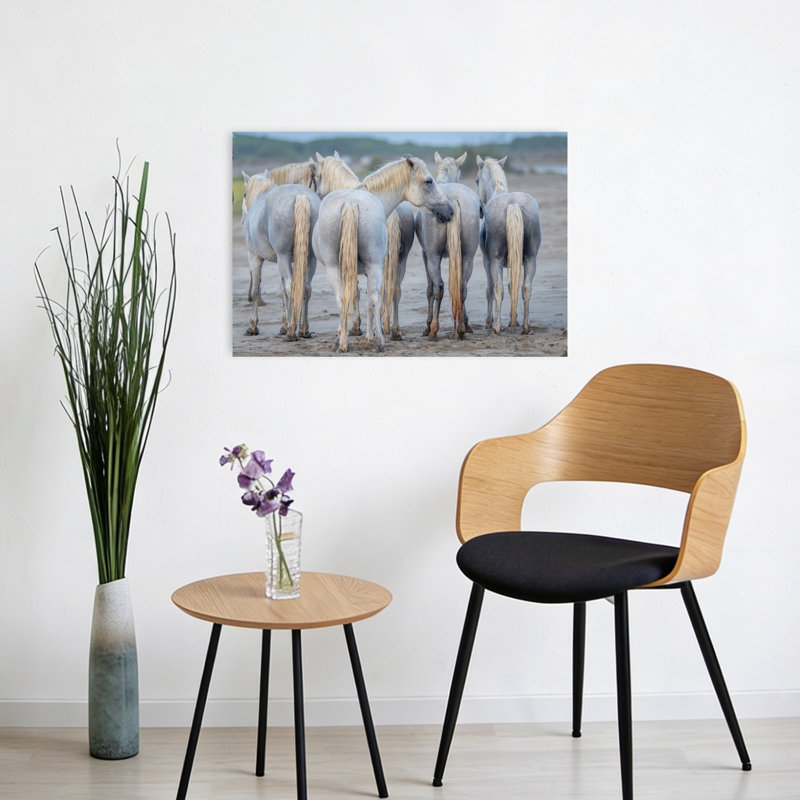 Print, 40.64cm H x 60.96cm W