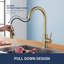Pull Down Spray Single Lever Kitchen Tap-1277498246
