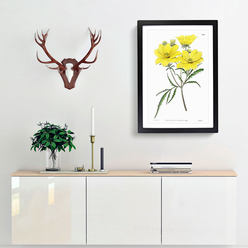 Yellow Tickseed Flowers - Framed Print, 48cm H x 36cm W x 2cm D, Black Framed