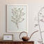 Toile simple encadrée Premium Sprig III - prête à être accrochée-1499364541-1499364540