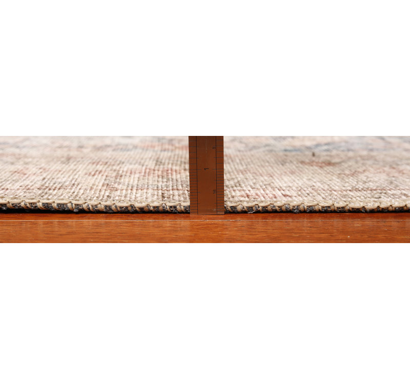Shylei Machine Woven Rectangle 7'6" x 9'6" Cotton/Polyester Area Rug in Brown