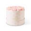 Segovia Rose Hatbox