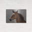 «Horse pensé» par John Silver-1688792103