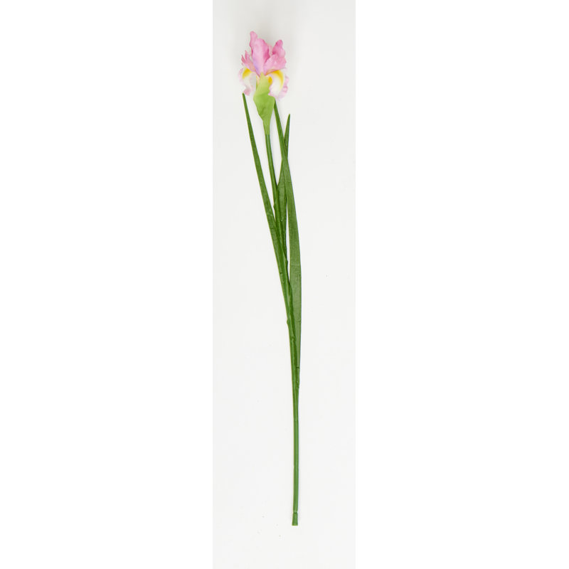 25" Artificial Iris Flower Spray, Pink