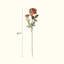 Two-Head Seattle Dahlia Flower Stem 26.7" Tall-1205265288