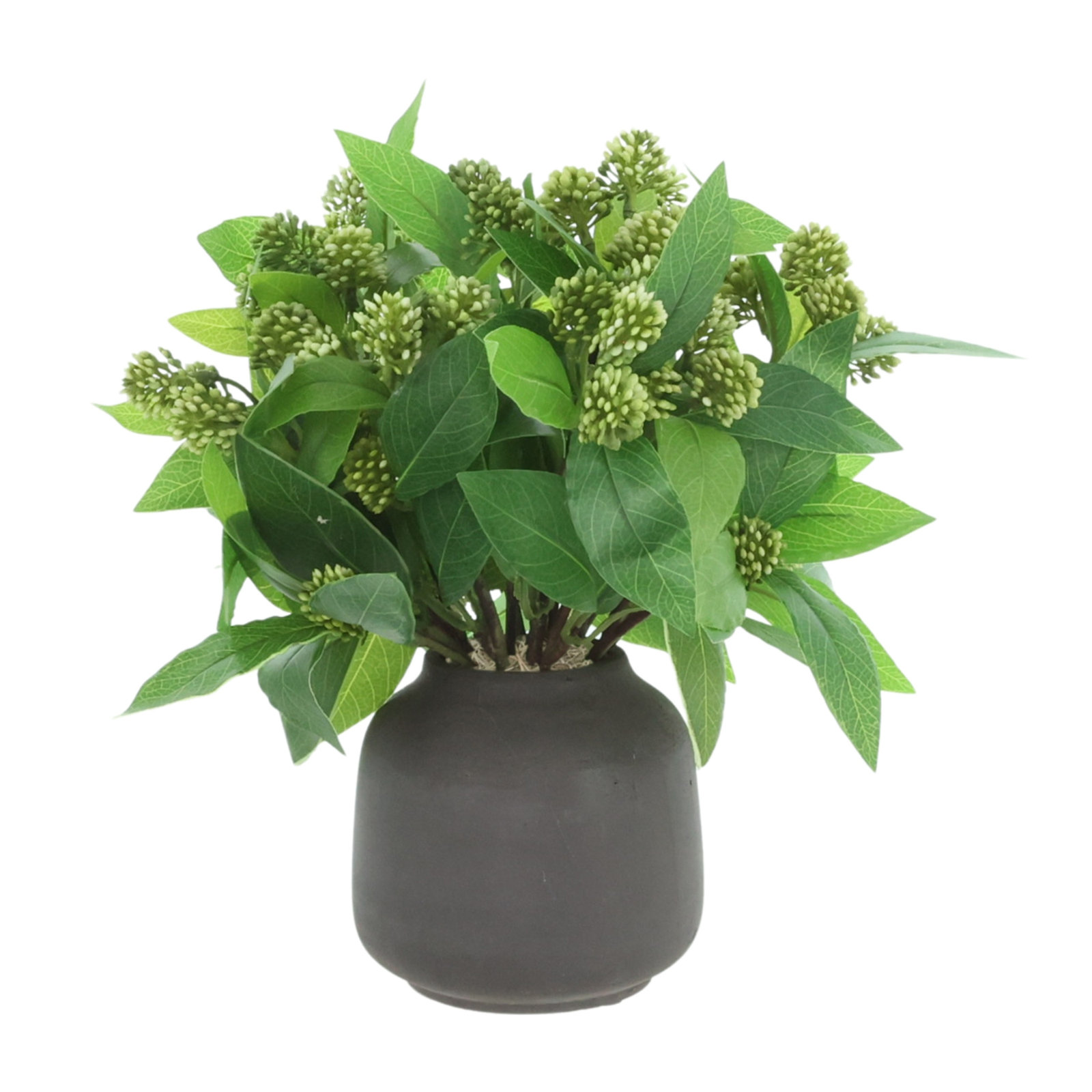 Sedum Bush in Fiberstone Vase, Black