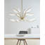 Belterra 38 Chandelier-423539930-423539929