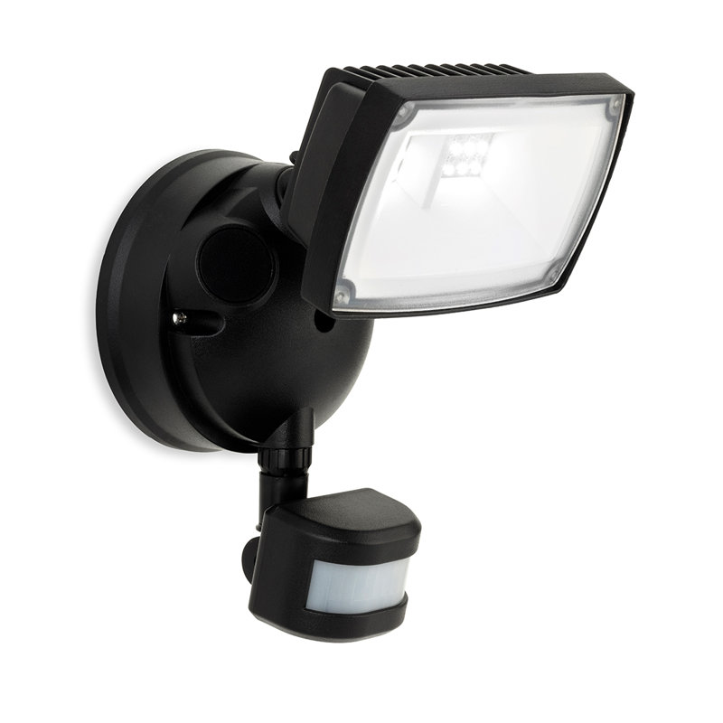 Willmar Flood Light