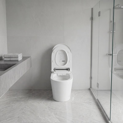 intelligent toilet