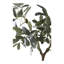 Andreino 61cm Olive Tree Plant