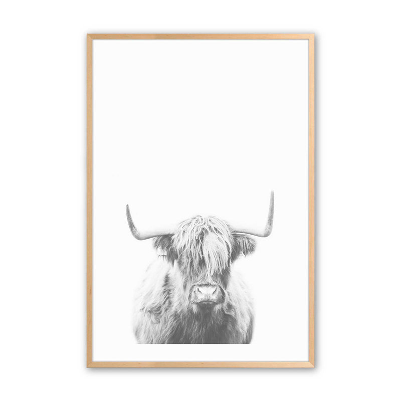 Highland Spirit, dans un cadre,, Érable brut encadré, H 21 po x l 17 po x P 1,25 po
