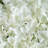 Hydrangea Wall Panel Arrangement-643892284-541394238
