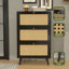 Rangement pour 18 paires de chaussures-1370774221