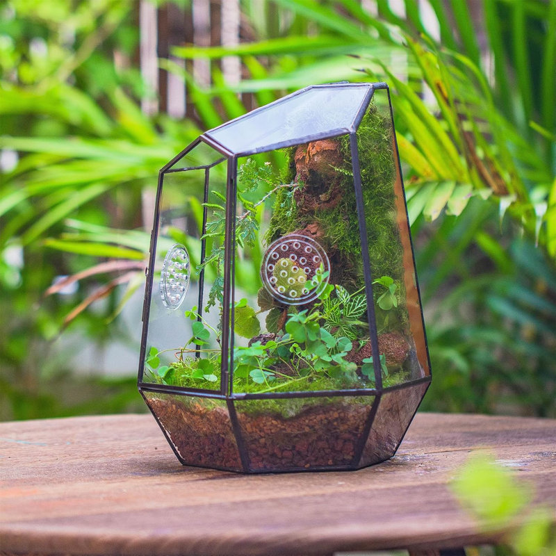 Closed Geometric Glass Enclosure With Front Opening Door