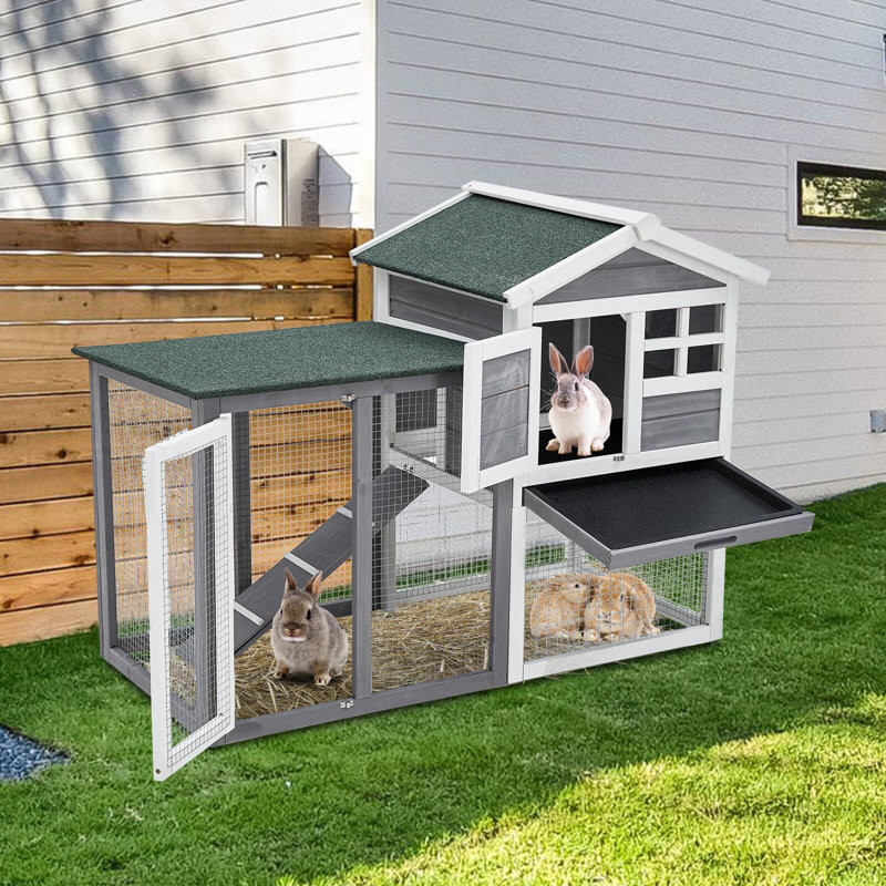 Cage à lapin résistante aux intempéries Stevenage