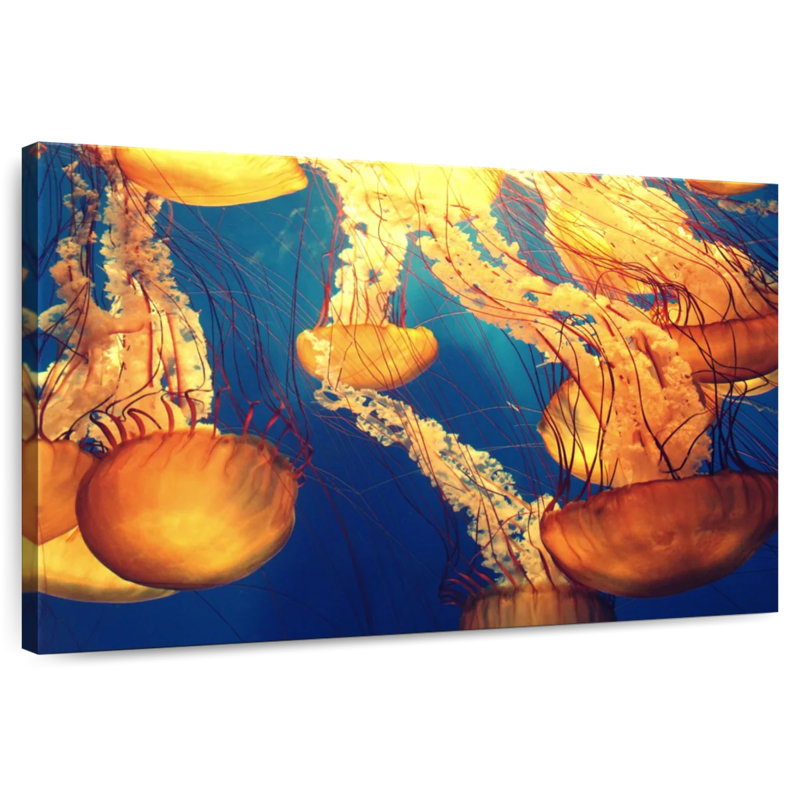 Brampt Jellyfish Bloom, 32" H x 48" W