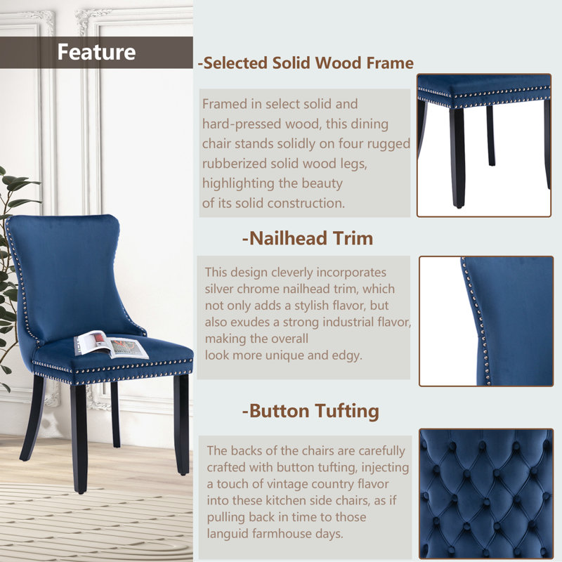 Blue Velvet Upholstered Dining Chairs with Nailhead Trim, Set of 6