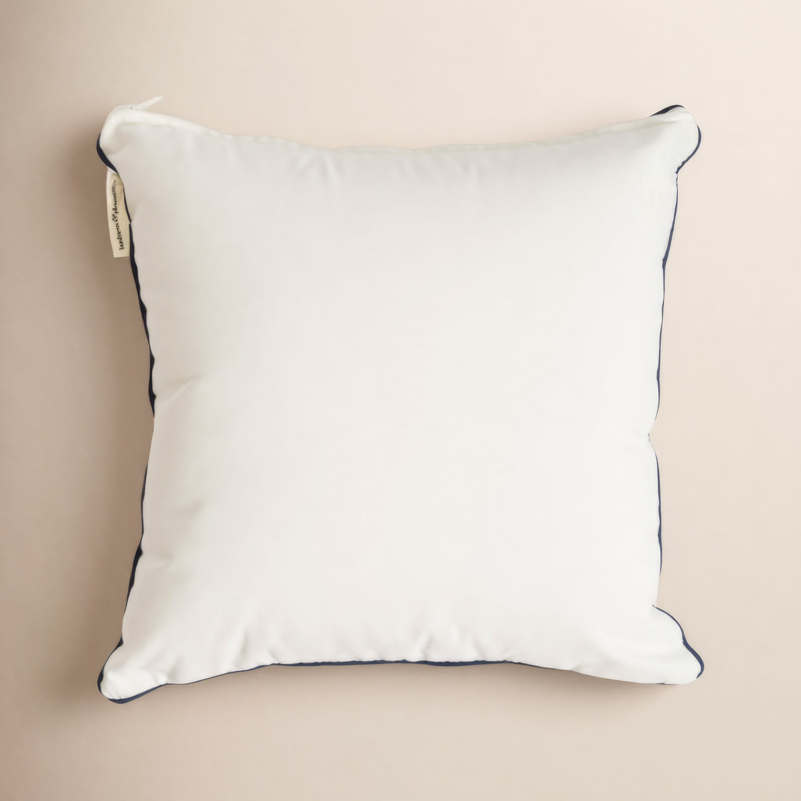 Rivie Indoor/Outdoor Throw Pillow, 26"H x 26"W, White