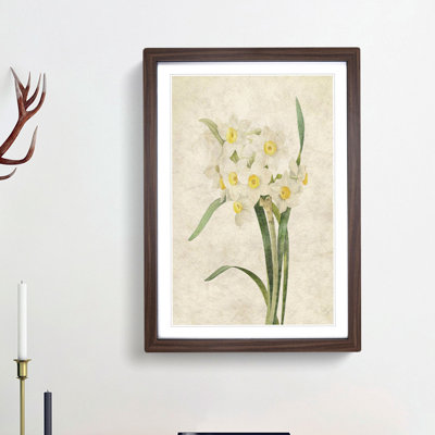 White Daffodils by Pierre-Joseph Redoute - Framed Print