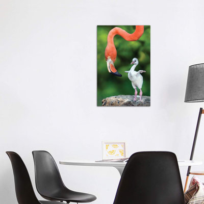 Flamingo With Chick by Xavier Ortega - Wrapped Canvas Print