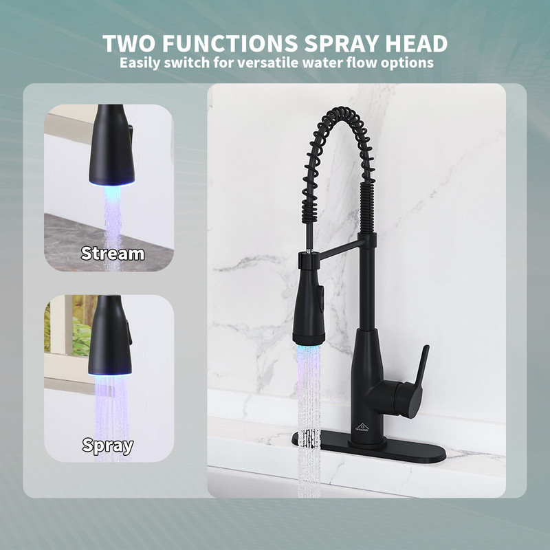 Willow CASAINC Magnetic Pull Out Sprayer Kitchen Faucet with LED Temperature Light and Deck Plate
