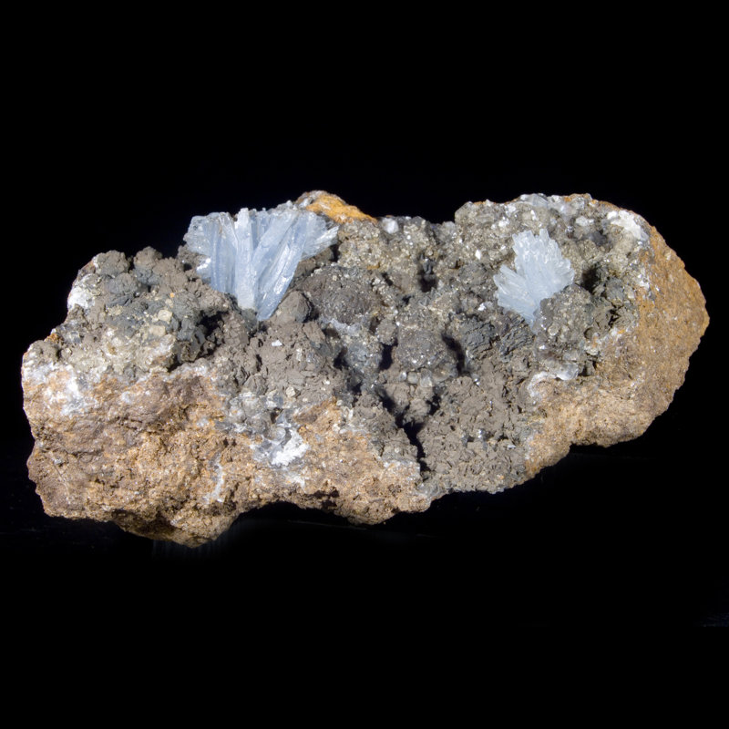 Barite à pales bleues - Jebel Ouichane, Maroc