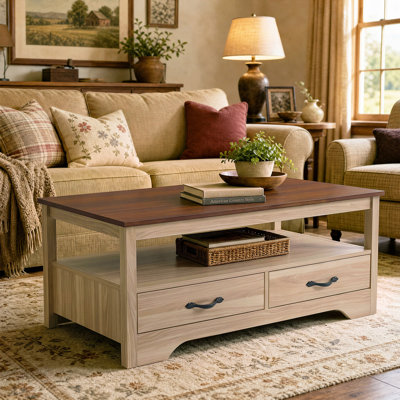 Table basse moderne avec tablette de rangement ouverte et 2 tiroirs, table d'appoint de style champêtre pour le salon, idée de salon