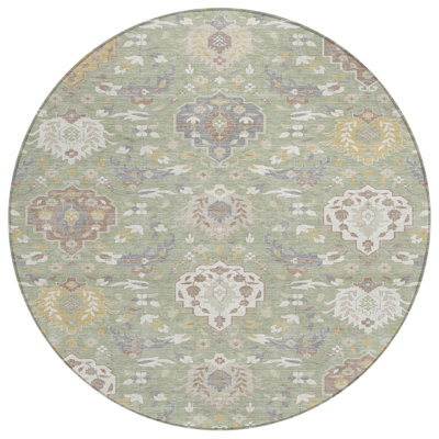 Ilyara Green Washable Indoor-Outdoor Rug - 