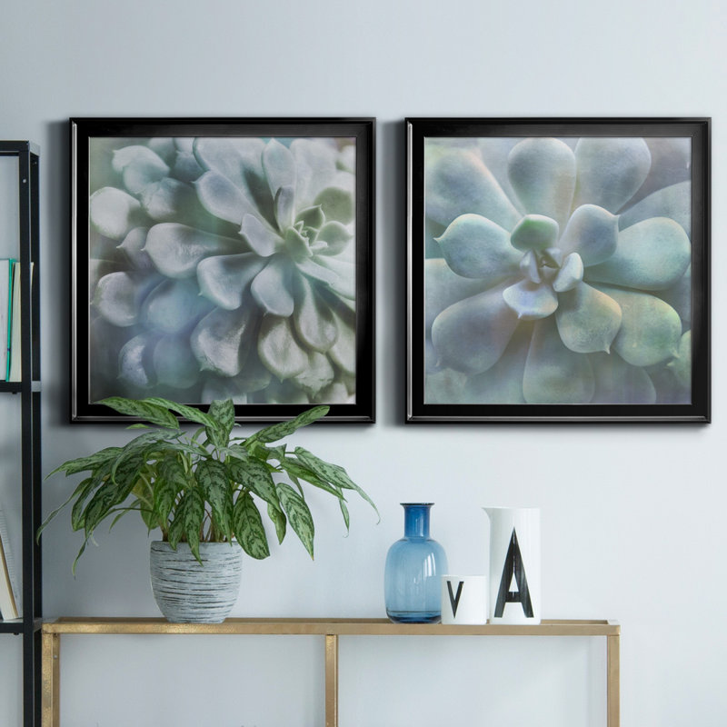 «Soft Succulent I», reproduction de photo sur toile 2 pièces, H 30,5 po x l 61 po x P 1,5 po, Noir