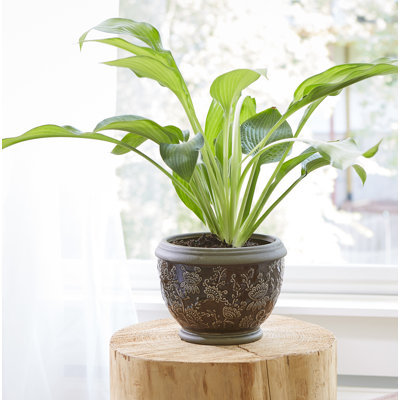 Handmade Ceramic Pot Planter