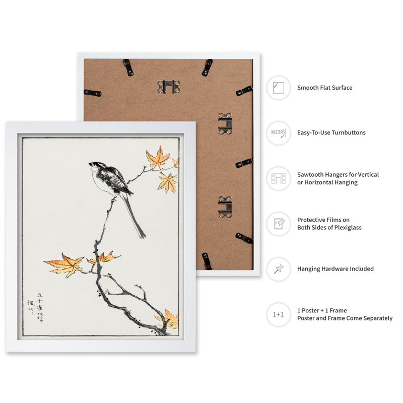 Mésange à longue queue et érable, Affiche, Encadrement blanc, H 16 po x l 20 po