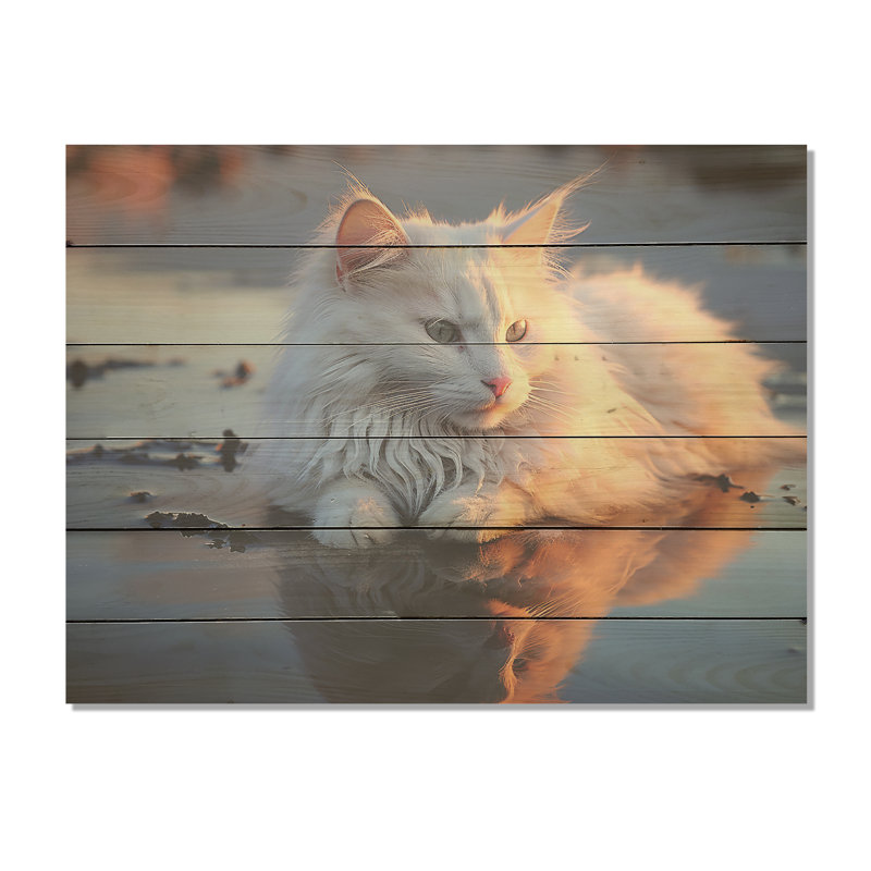 Chat tranquillité sur la plage - Art mural en bois sur bois de pin naturel, H 10 po x l 20 po