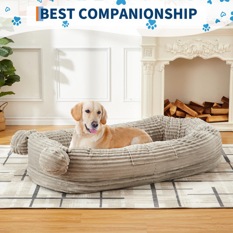 Lit pour chien 71 po lavable pour personnes et animaux domestiques, matelas en mousse portable avec poignées de transport et poches latérales