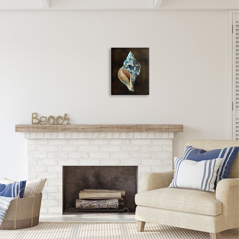 Art mural en toile de coquille de conque foncé par Caroline Kelly, H 20 po x l 16 po x P 1,5 po