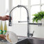 Belfry Kitchen Valdez Pull Out Kitchen Faucet
