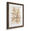 Parchment Coral I - ensemble de 4 reproductions de cadres photo-2014908188-2014908191