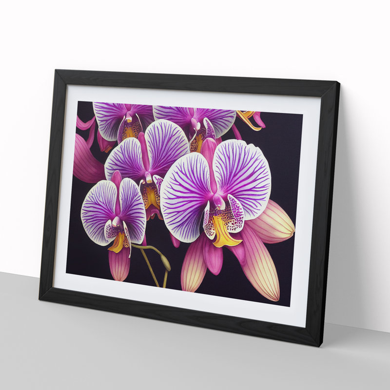 Adventurous Orchid Flowers - Single Picture Frame Print, Black Framed, 46cm H x 64cm W x 2cm D
