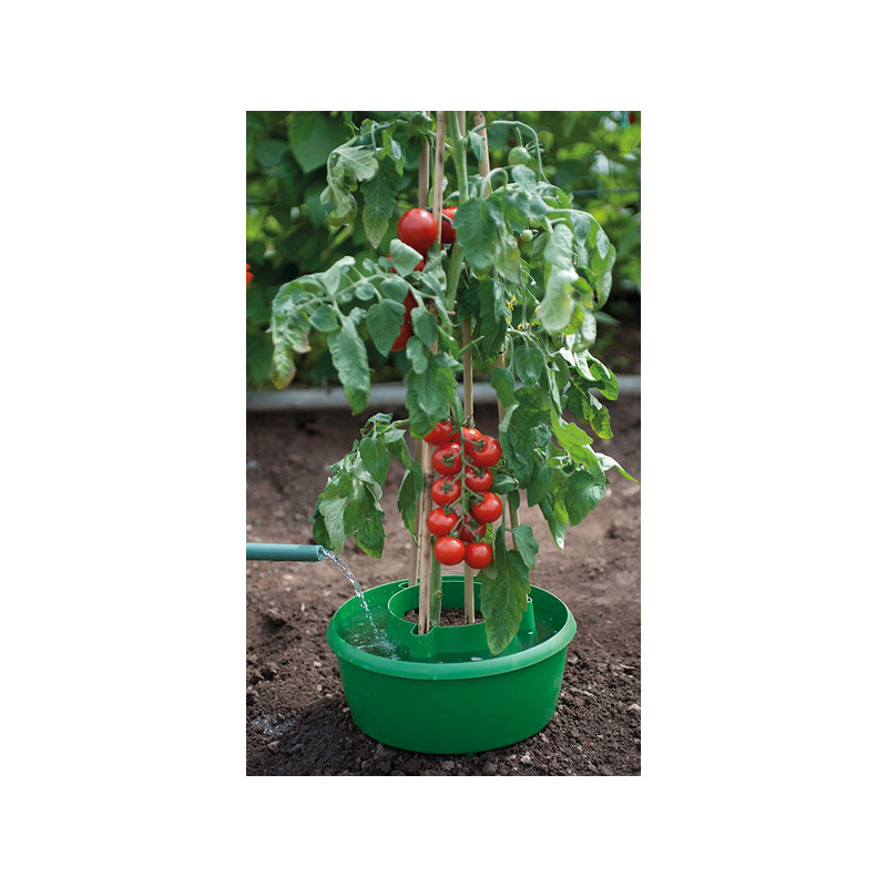 Bosmere Accessory Fruits / Vegetables