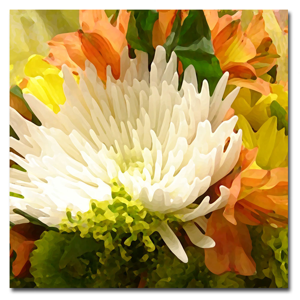 "Spring Flower Burst" by Amy Vangsgard Painting Print on Canvas Trademark Fine Art 