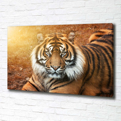 Bengal Tiger - Wrapped Canvas Print