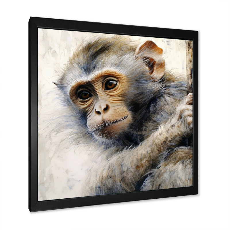 Wild Monkey II - animaux, impressions sur toile, H 16 po x l 16 po x P 1 po, Cadre simple noir