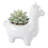 4.75'' Faux Onion Grass Succulent in Ceramic Pot-29083613