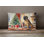 Other/No Pattern Outdoor Throw Pillow