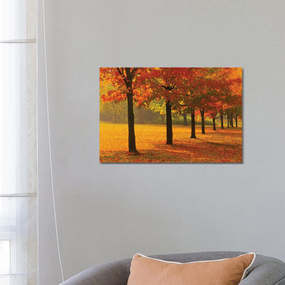 Canada, Ontario, Guelph. Sugar maple trees in autumn. 1 Piece Wrapped Canvas Painting