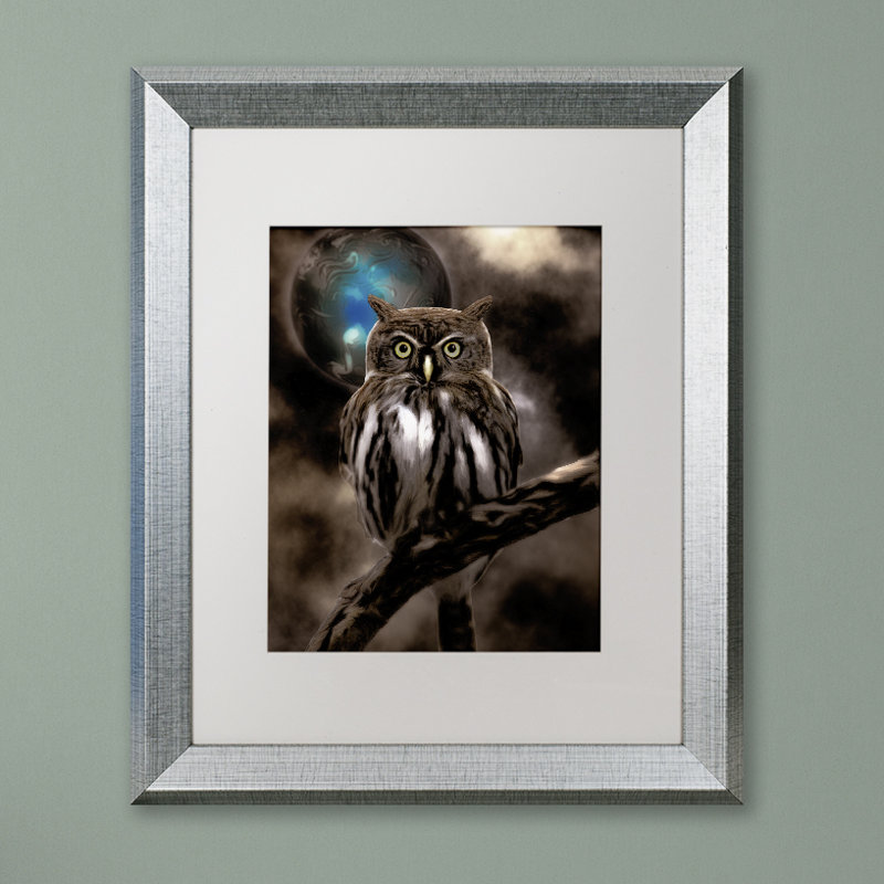«Night Owl» par Jadaya, impression encadrée, H 14 po x l 11 po x P 0,5 po, Blanc, Toile avec cadre noir