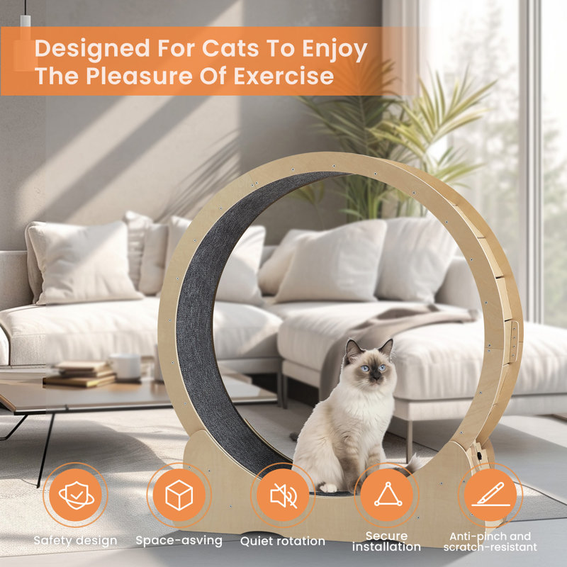Roue d'exercice pour chat Emilse