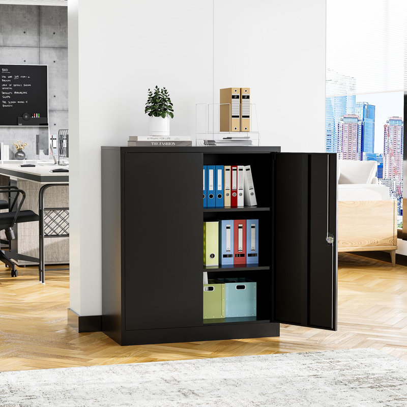 Armoire de rangement simple en acier (H 35,43 po x l 31,5 po x P 15,75 po), Noir