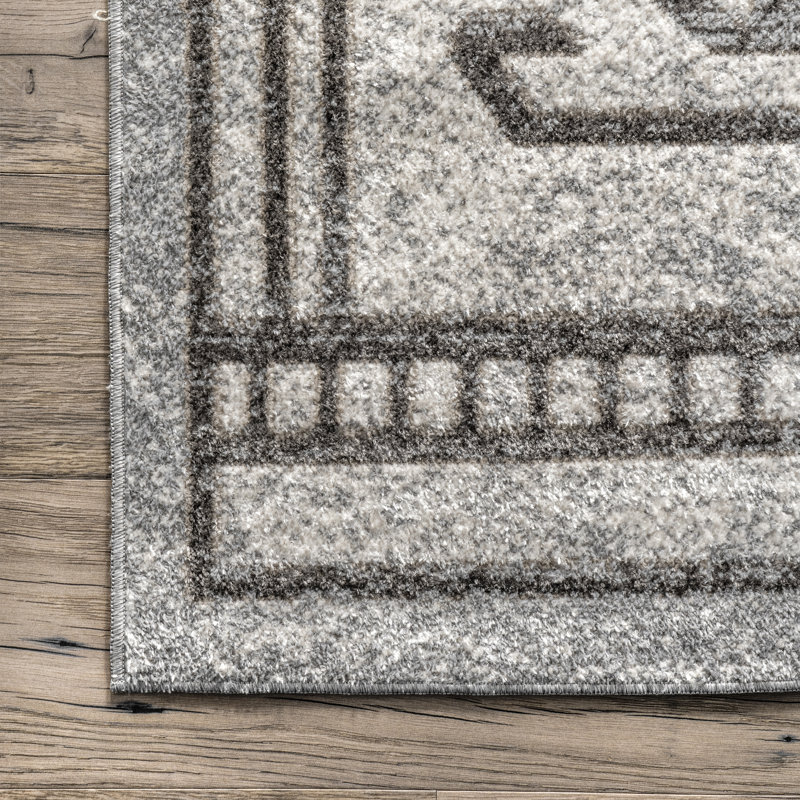 Kyleigh Southwestern Machine Washable Area Rug for Living Room Bedroom Dining Room Kitchen, Rectangle 8' x 10'